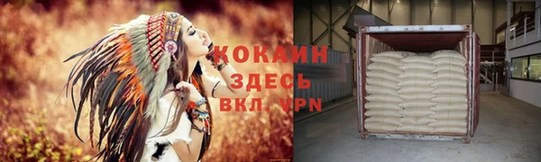 дмт Михайловск