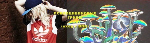 дмт Михайловск