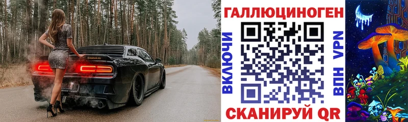 Галлюциногенные грибы Psilocybe  Купить где  Симферополь 